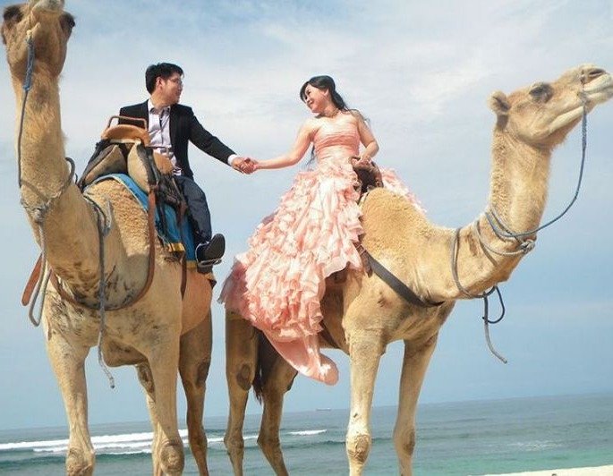 Bali Camel Safari Tourism,  Riding Camels by the Beach