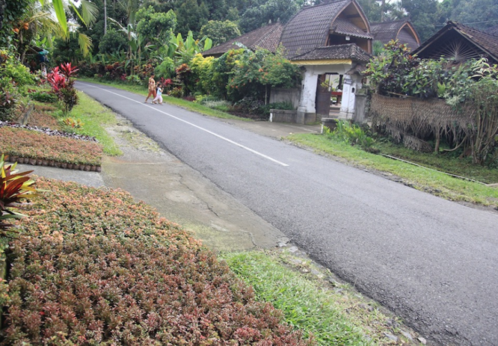 Petiga Tabanan village, The Ornamental Plant Centers