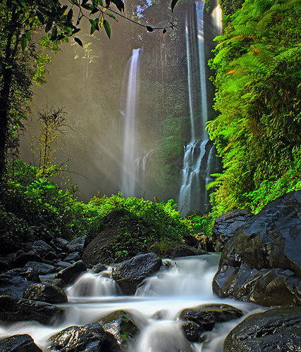 Buleleng Sekumpul Waterfall, Hidden Beauty in Bali