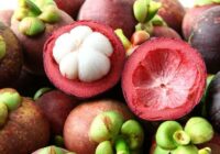 5 Balinese Fruits as Alternative Souvenirs