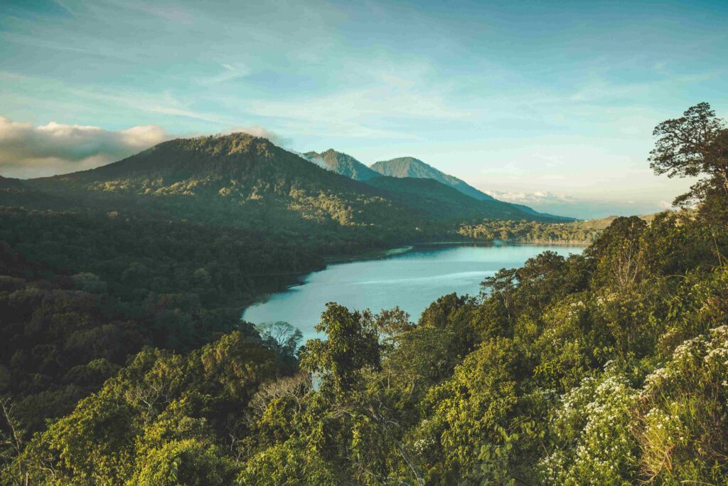 The Beauty of Bangli